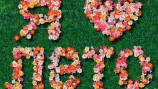 Вот и лето прошло кто любит лето ставьте лайк и пишите коментарий смотреть онлайн