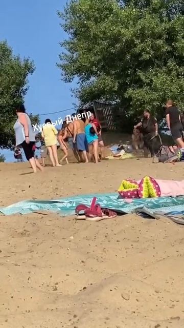 собака охранника напала на отдыхающих