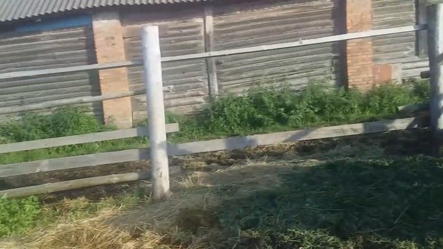 👍ПРИВЕЛИ КОБЫЛУ для знакомств второй раз смотреть онлайн