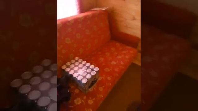 Смотреть всем. Прикол. смотреть онлайн