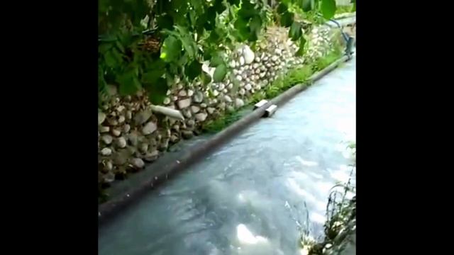 Новая цена водяной насос Гидротаран ГТ- 100. смотреть онлайн