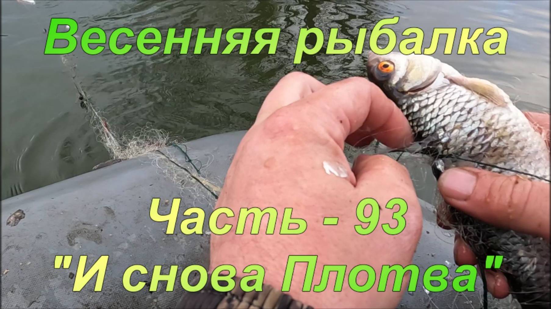Весенняя рыбалка. Часть - 93. "И снова Плотва". смотреть онлайн