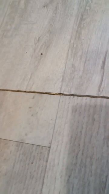 Что стелить на пол??? #shortsvideo #germanaleh