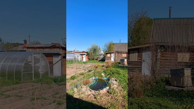 бурундук снт смотреть онлайн