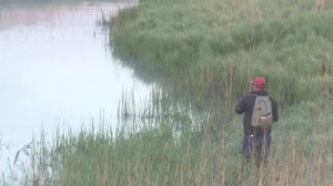 Река моего детства, душа поет и глаз радуется. Ловля щуки на микроречках