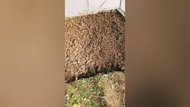 Утро к нам приходит