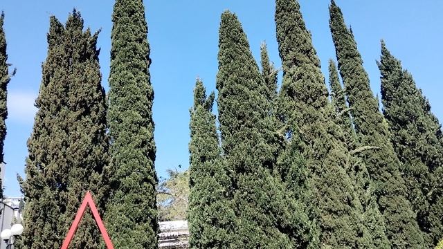 Гурзуф. Санаторий Гурзуфский.