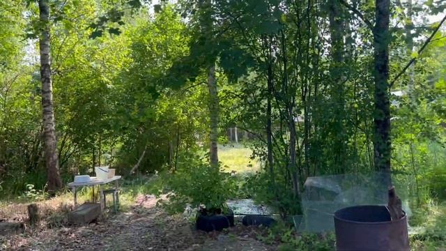 Квартира в поселке Шапки и два участка в 19 соток.