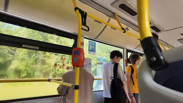 Будни в Петербурге | Комарово | пикник смотреть онлайн