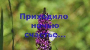 Приходило ночью счастье
