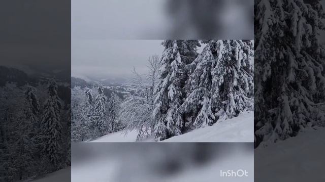 Тростян🏂