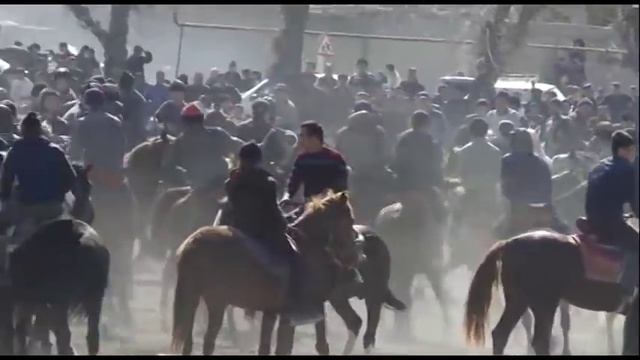 Sardor Polvon Davomi