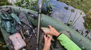 Мальки в бешестве! Ловим на Jackall Micro Tappy