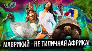 Маврикий | Полный обзор страны
