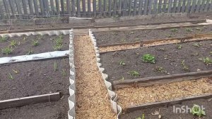 Погода ужасная, стряпаю пироги, чебуреки.Что прикупила на ярмарке.