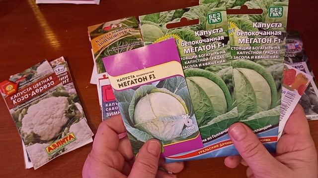 Обзор капусты на сезон 2025 смотреть онлайн