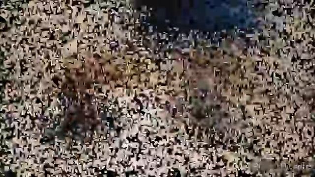 Индивидуальные занятия коллектива 