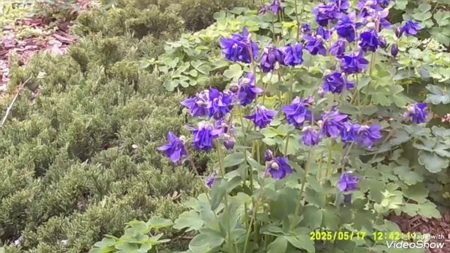 Мариуполь ⛵ автостоянки на тротуарах. смотреть онлайн