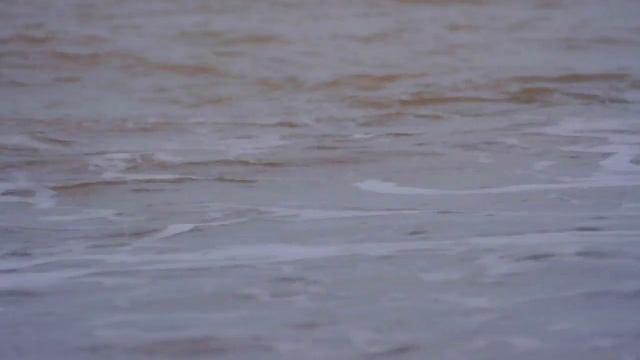 44°40'43»С.Ш — Polusa