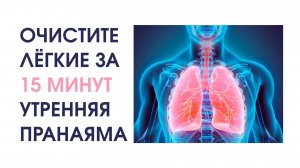 Дыхательный детокс: очищение лёгких за 15 минут | Пранаяма с Екатериной Андросовой