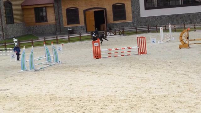 Соревнование по конкуру Прибой (КСК Пегас до 80см) 25.06.2017 смотреть онлайн