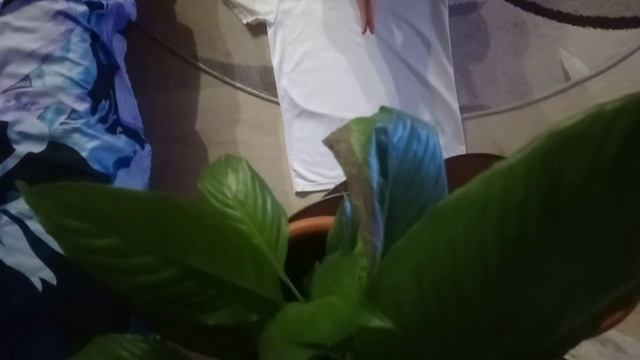 Как свернуть свою любимую футболку аккуратно и красив смотреть онлайн