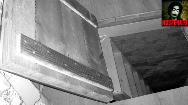 Из погреба. Страшные истории на ночь 🫣🫣🫣 смотреть онлайн