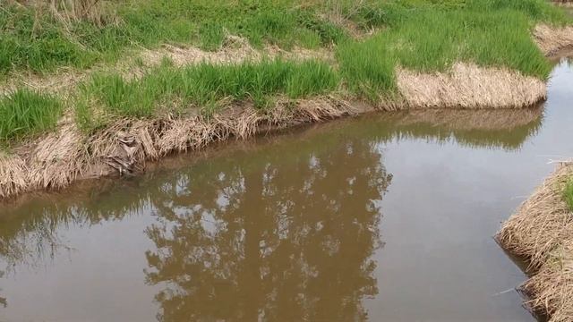 DJI 0024 река 3 смотреть онлайн