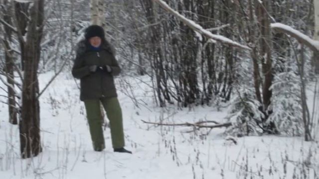 Земля родная -  Исполнитель Марина Девятова