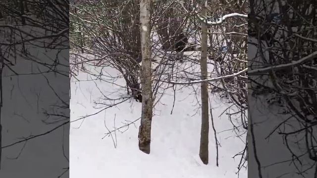 Детские забавы🏔️домашнее барбекю🍗и национальный к