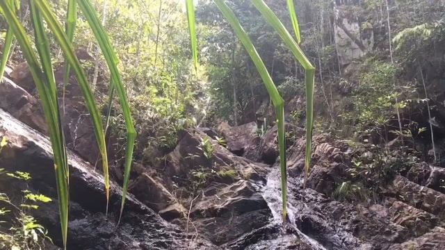 Панган TV. 34. Офигенный водопад с озером Paradise Waterfall