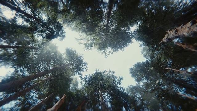 BOOK OF THE DEAD (2018) - Тизер (eng.) смотреть онлайн