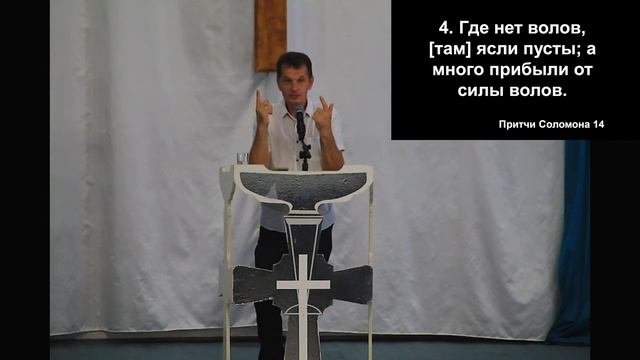 Прямая трансляция 7.07.24 смотреть онлайн