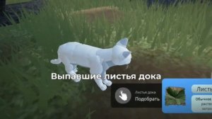 КАК ПОЛУЧИТЬ ШАРФ МУДРЕЦА В WC:UE?|Warrior Cats: Ultimate Edition ||