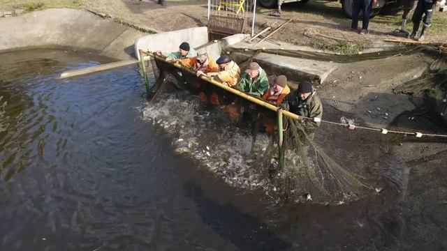 «Время новостей» Эфир от 07.10.2022 смотреть онлайн