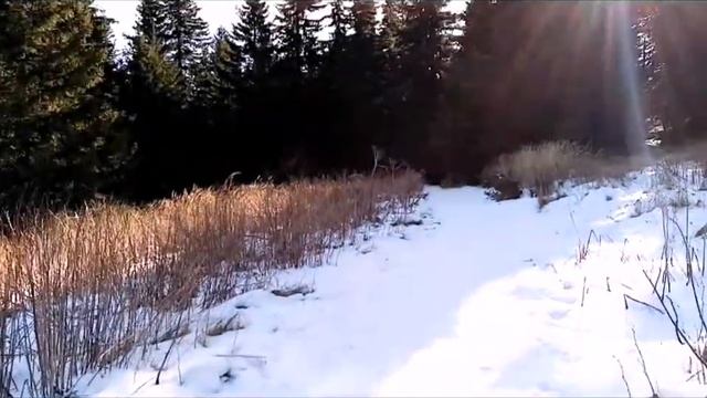 Витоша - Алеко.! 15.12.2019