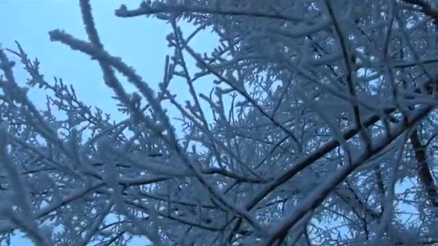 Зимистони 2021 дар ш.Турсунзода смотреть онлайн