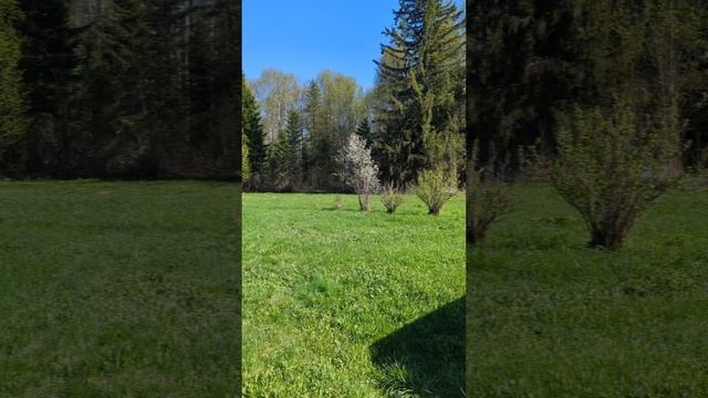 казанка у реки смотреть онлайн