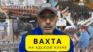 Вахта за 2800 р. на ликёро-водочном заводе в Дмитрове/Мой личный опыт после 15 смен.
