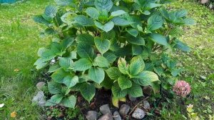 Барно отинойи марузалари Кабр азоби хакида Бардошингиз етса эшитинг!