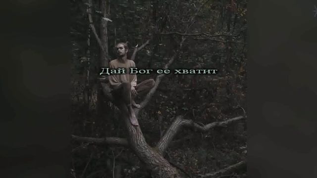 Элли на маковом поле и лампабикт - Немерено КАРАОКЕ /// ? смотреть онлайн