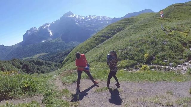 Работа по лапам 