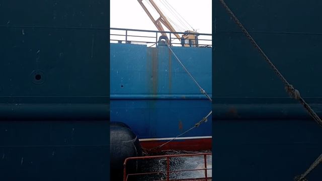 Жизнь, как она есть. Камчатка. с. Кострома.