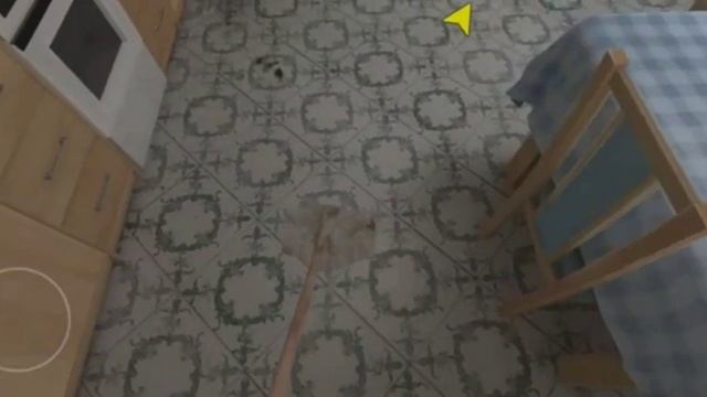 Баг на невидимость в Schoolboy runaway