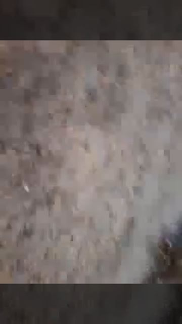 Лиза лижет лизун смотреть онлайн