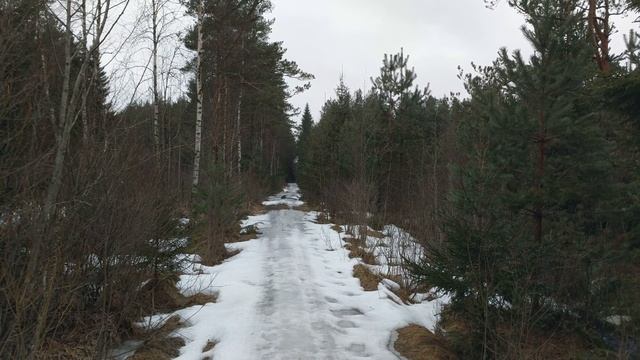 Лес в апреле смотреть онлайн