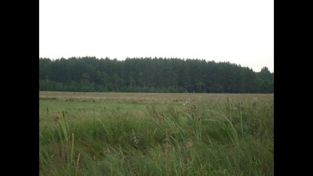 Пересыпкино фото