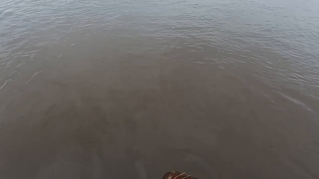 РЫБАЛКА НА ПРОДОЛЬНИКИ \ РЕЗКИЙ СКАЧОК ВОДЫ \ РЫБА ЛОВИТСЯ \ БЕРЁМ ПЕРЕРЫВ