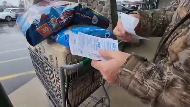 Купили сто утят на мясо ! ПЕКИНСКАЯ ПОРОДА УТОК !