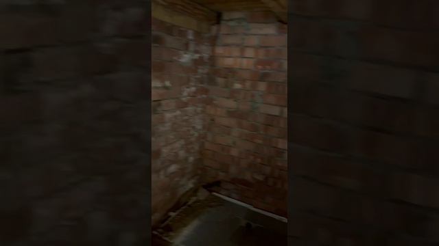 полное видео